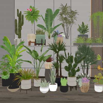 现代盆栽花盆水泥花盆植物盆栽摆件地被花卉攀爬植物仙人掌多肉吊篮