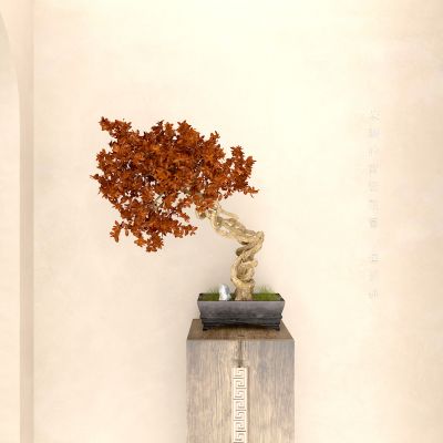 植物 花盆 花瓶 盆栽 盆景 中式盆景