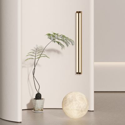 花瓶 花卉 盆栽 花盆 植物 绿植