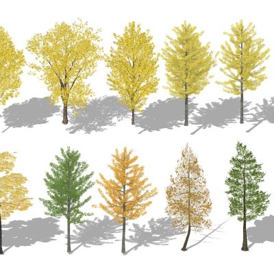 3d行道树景观树乔木色叶树银杏白蜡杨树松树点景树植物