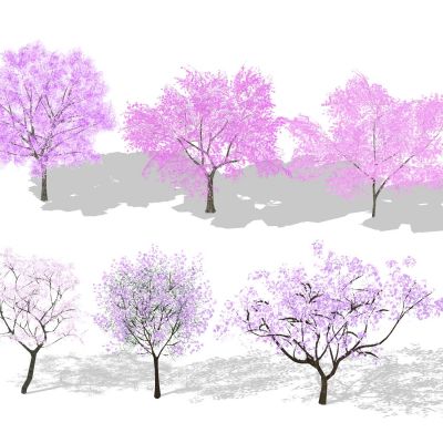 3d景观树色叶树花灌木紫荆樱花海棠桃树小乔木点景树景观植物