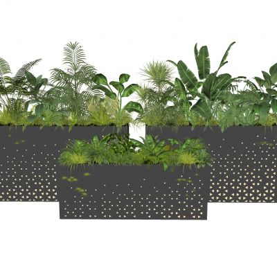 现代花箱金属花箱热带植物地被花卉植物花草