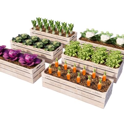 农作物菜园蔬菜果蔬菜地种植箱蔬菜箱爬藤架田园工具菜花油菜胡萝卜