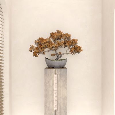 植物 花盆 花瓶 盆栽 盆景 中式盆景