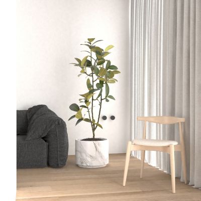 花瓶 花卉 盆栽 花盆 植物 绿植