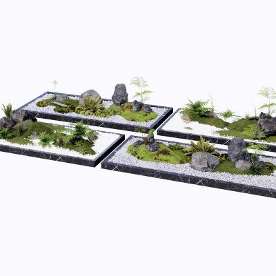 蕨类植物盆栽地被景观植物肾蕨盆景狐尾天门冬苹果蕨景石卵石假山