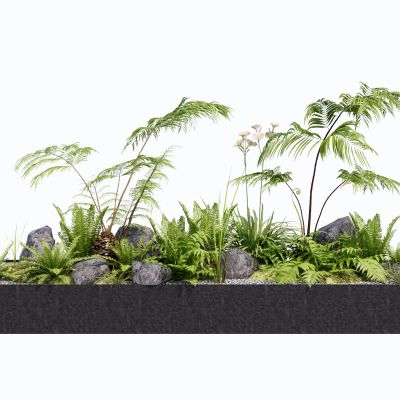 蕨类植物盆栽地被景观植物花卉肾蕨盆景狐尾天门冬苹果蕨景石卵石苔藓