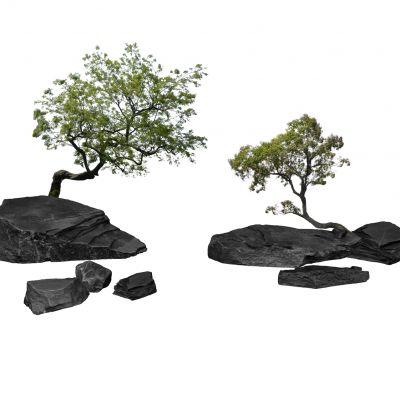 景石山石碎石景观石假山植物自然石