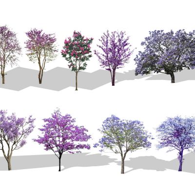 2d景观树色叶树紫荆紫薇樱花泡桐花灌木海棠小乔木点景树