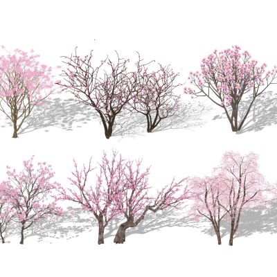 3d景观树色叶树桃树花灌木紫薇紫荆樱花紫玉兰梅花小乔木