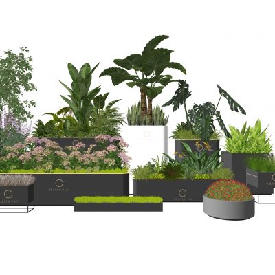 植物花箱盆栽热带植物地被花卉金属花箱商业外摆