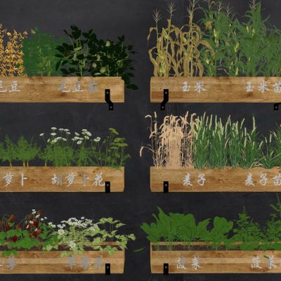 农作物菜园蔬菜果蔬菜地种植箱蔬菜箱玉米麦子草莓胡萝卜毛豆菠菜
