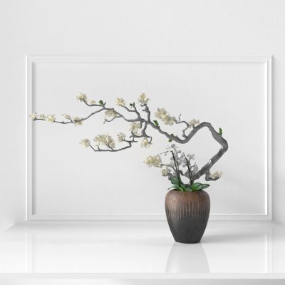 花瓶 花卉 盆栽 花盆 植物 绿植