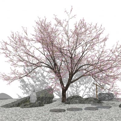 日式庭院小品景墙水景卵石景石雕塑景观植物汀步石灯假山惊鹿小品日式庭院小品景墙水景卵石景石雕塑景观植物汀步石灯假山惊鹿小品