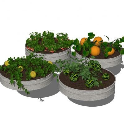 农作物菜园蔬菜果蔬菜地种植箱蔬菜箱爬藤架田园工具圆形菜地