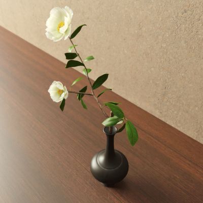 花瓶 花卉 盆栽 花盆 植物 绿植