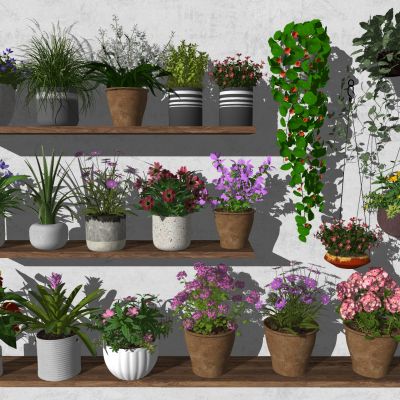 现代盆栽花盆水泥花盆植物盆栽摆件地被花卉攀爬植物