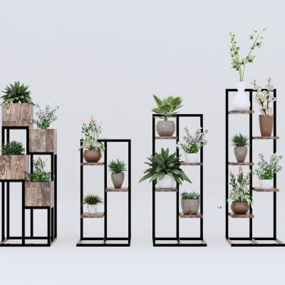 现代植物盆栽绿植盆栽花架花盆植物花草室内盆景地被花卉景观草