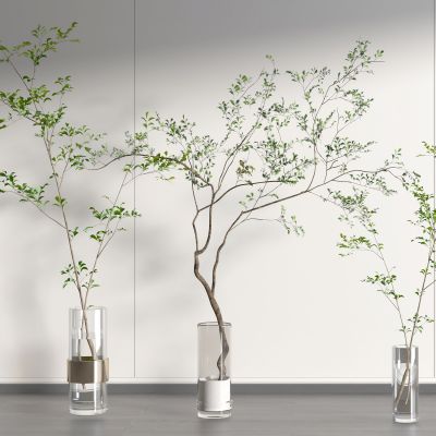 花瓶 花卉 盆栽 花盆 植物 绿植