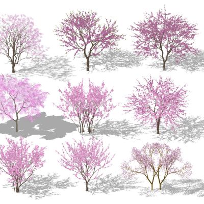 3d景观树色叶树花灌木紫薇紫荆樱花小乔木