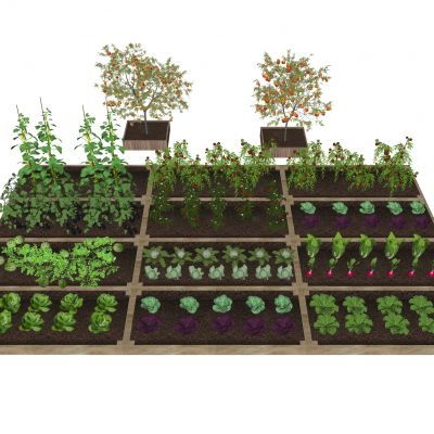 农作物菜园蔬菜果蔬菜地种植箱蔬菜箱爬藤架田园工具辣椒萝卜菜花西瓜橘子