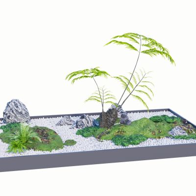 蕨类植物盆栽地被景观植物肾蕨盆景狐尾天门冬苹果蕨景石卵石苔藓