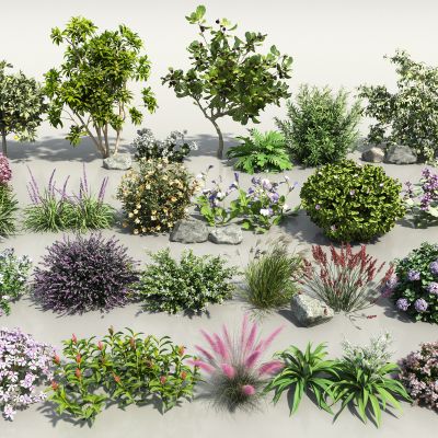 现代花卉灌木组合 3D模型