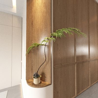 盆景 植物 绿植 造景 盆栽