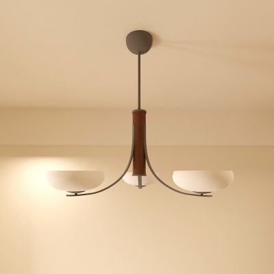 灯 灯具 吊灯 照明灯 装饰灯