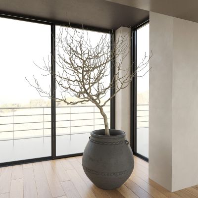 植物 绿植 盆栽 盆景 花盆 枯树 造景