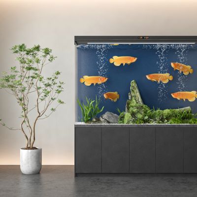 现代鱼缸水族