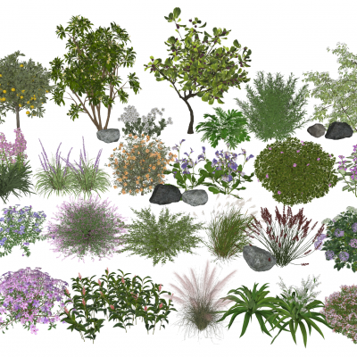 现代花卉灌木组合3D模型