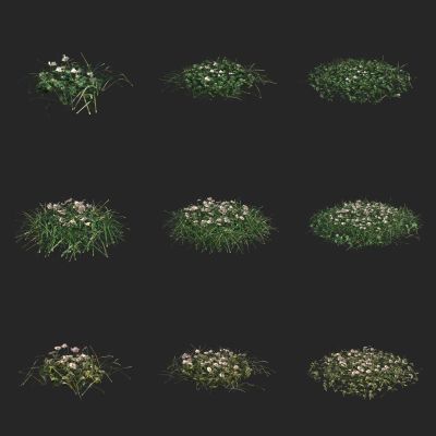 花草 野草 草地 草坪 