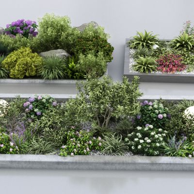 现代景观植物组合