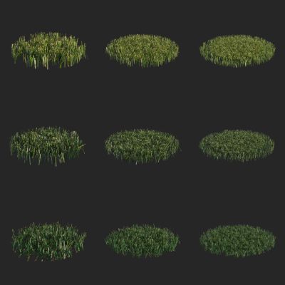 花草 野草 草地 草坪 休整平整草坪