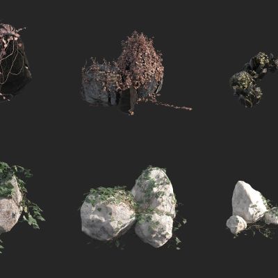 岩石上的爬藤藤蔓 水景石头 