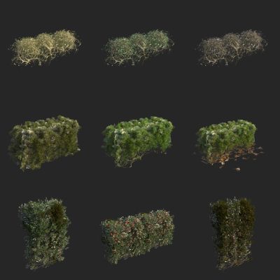 树篱 灌木球 绿篱墙 植物墙