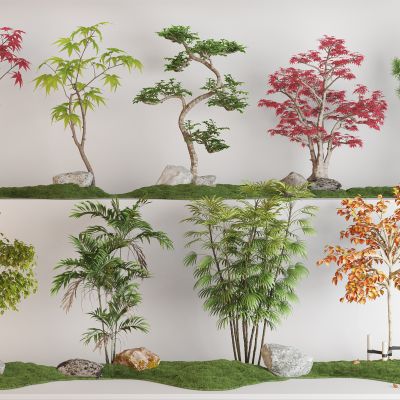 现代枫叶树植物组合