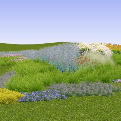 花镜组团景观草观赏草地被花卉草花草坪