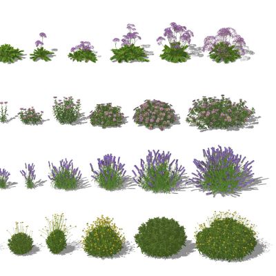 花卉花草组合薰衣草郁金香灌木树木景观地被花卉绿植景观花草鲜花