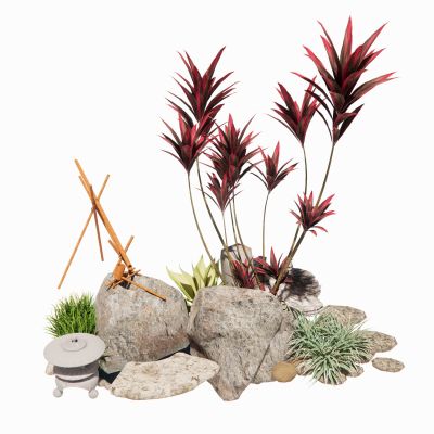 龙血树朱蕉景观植物芒草景观草地被花卉花境组合