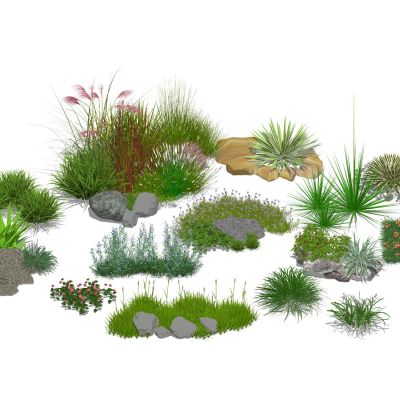观赏草组合景观植物景观草花境组合草花狼尾草麦冬芒草鼠尾草3D模型
