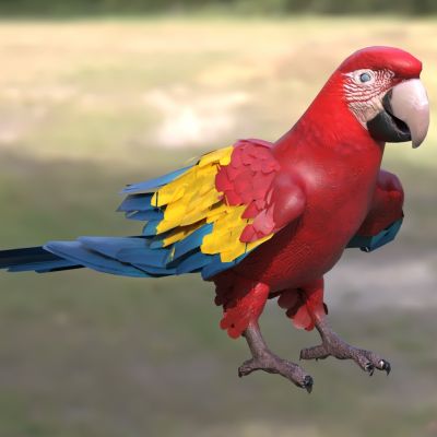 五彩金刚鹦鹉绯红金刚鹦鹉红黄金刚鹦鹉动物3D模型