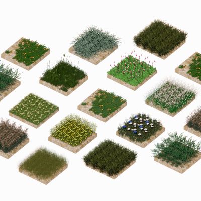 草皮草地草坪地皮草花地被花卉景观草观赏草景观植物