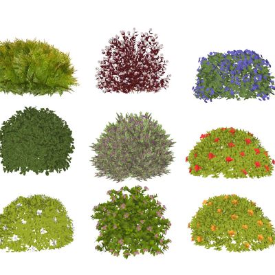 植物灌木球组合景观植物黄杨球植物球杜鹃球海棠球