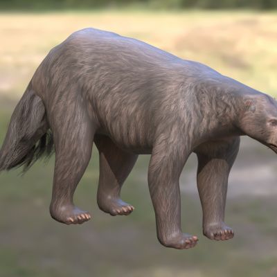 笨脚兽全齿目笨脚兽科动物