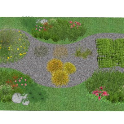 现代草坪草皮植被地被花卉草花景观植物观赏草景观草花境组合