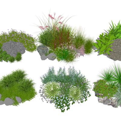 灌木景观草植物组团花境组合观赏草芒草地被花卉草花