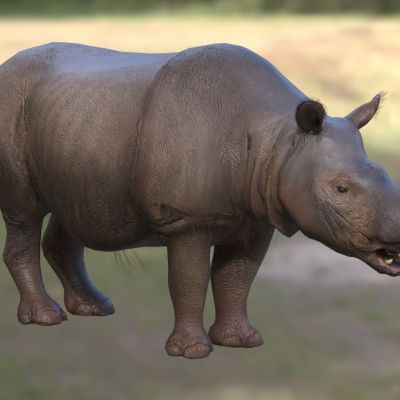 苏门答腊犀苏门犀双角犀亚洲双角犀毛犀牛牛犀科双角犀属动物