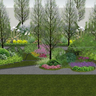 现代植物组团花境景观植物观赏草景观草地被花卉草花鼠尾草灌木球